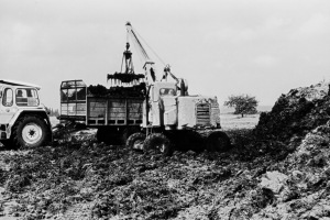 T172 im Landwirtschaftseinsatz T172 im Landwirtschaftseinsatz