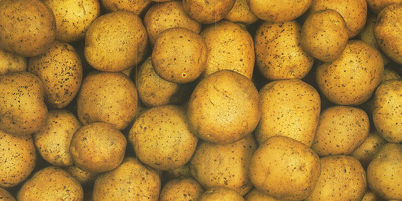 K754 Eine Kartoffelaufbereitungsanlage neuer Generation